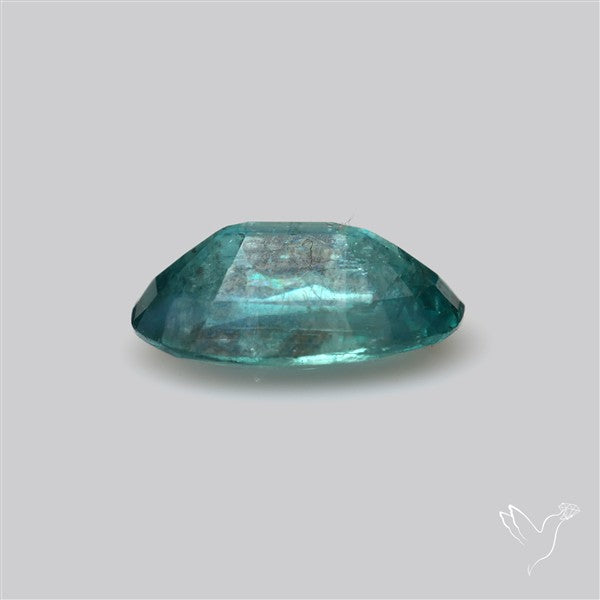 Rare Bi-color Kyanite Natural Blue Green Fine Gemstone