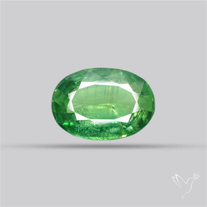 Fine Green Kyanite Rare Natural Green
