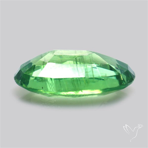 Fine Green Kyanite Rare Natural Green