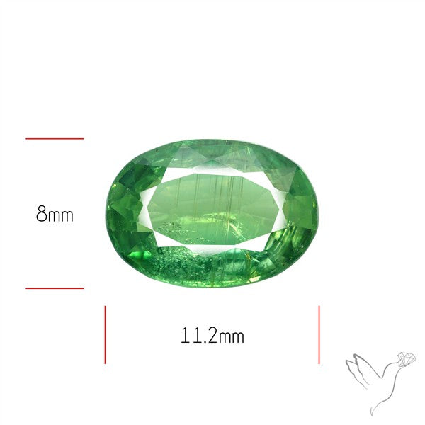 Fine Green Kyanite Rare Natural Green