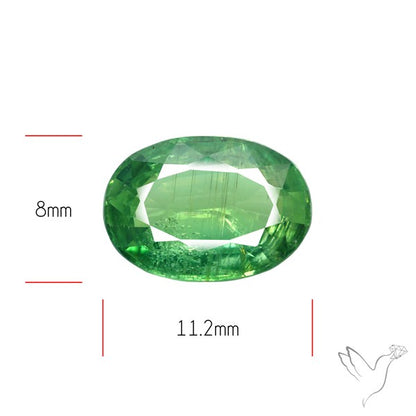 Fine Green Kyanite Rare Natural Green