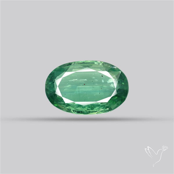 Fine Green Kyanite Rare Natural Green