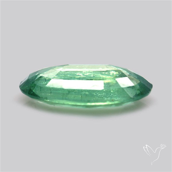 Fine Green Kyanite Rare Natural Green