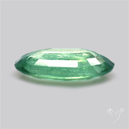 Fine Green Kyanite Rare Natural Green