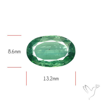 Fine Green Kyanite Rare Natural Green