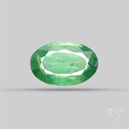 Fine Green Kyanite Rare Natural Green