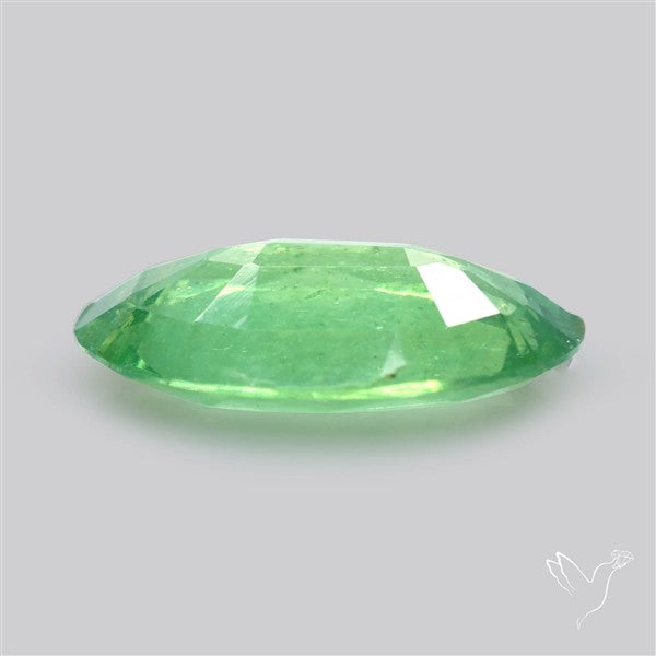 Fine Green Kyanite Rare Natural Green