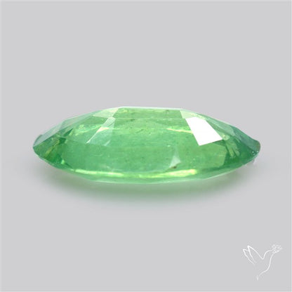 Fine Green Kyanite Rare Natural Green