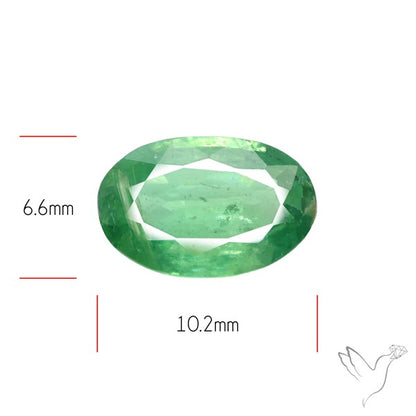 Fine Green Kyanite Rare Natural Green