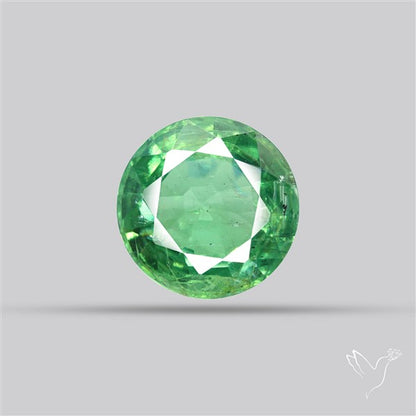 Fine Green Kyanite Rare Natural Green
