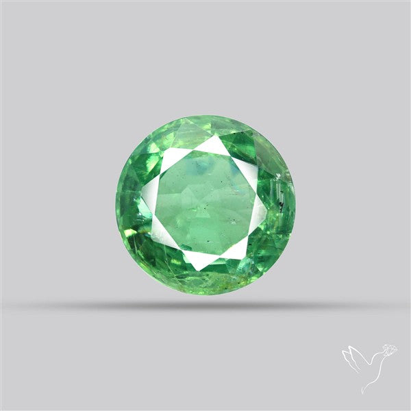 Fine Green Kyanite Rare Natural Green