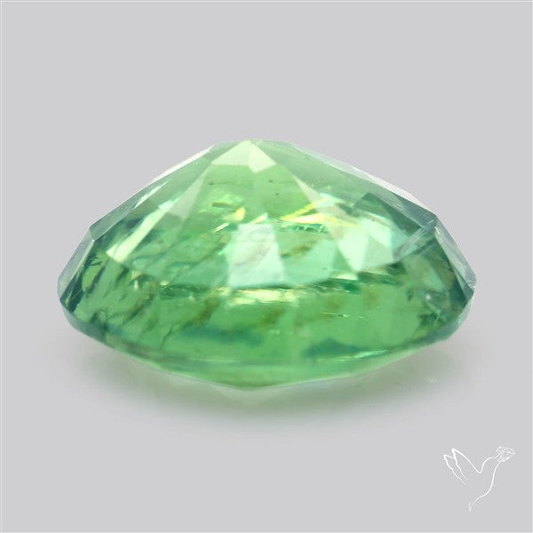 Fine Green Kyanite Rare Natural Green