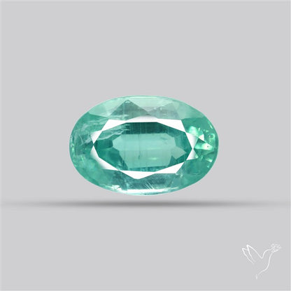 Faceted Paraiba Blue Fine Kyanite Gemstone