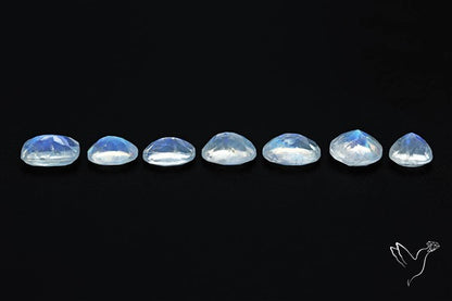 Faceted African Blue Moonstone Set