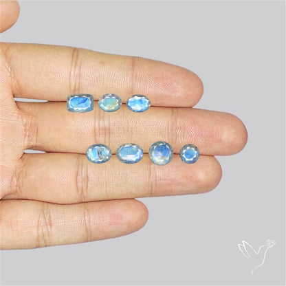 Faceted African Blue Moonstone Set