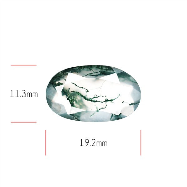 Faceted Moss Agate Fine Gemstone