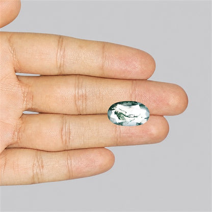 Faceted Moss Agate Fine Gemstone