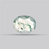 Faceted Moss Agate Fine Gemstone