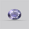Iolite Millenium Cut Rare Faceted Fine Gemstone