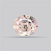 Diopside in Rose Quartz Faceted Fine Gemstone