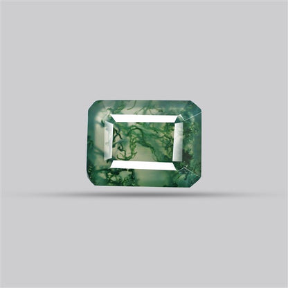 Faceted Moss Agate