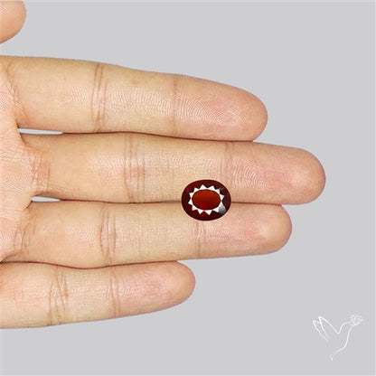 Ceylon Hessonite Garnet Faceted Fine Gemstone