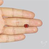 Ceylon Hessonite Garnet Faceted Fine Gemstone