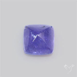 Faceted Tanzanite Sugarloaf Gemmy