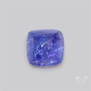 Faceted Tanzanite Sugarloaf Gemmy