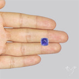 Faceted Tanzanite Sugarloaf Gemmy