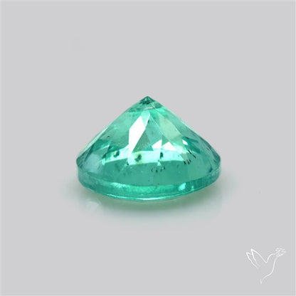 Paraiba Blue-Green Apatite Faceted Fine Gemstone