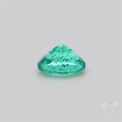 Paraiba Blue-Green Apatite Faceted Fine Gemstone