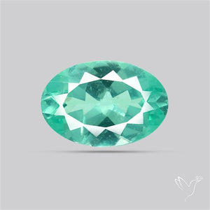 Paraiba Blue-Green Apatite Faceted Fine Gemstone