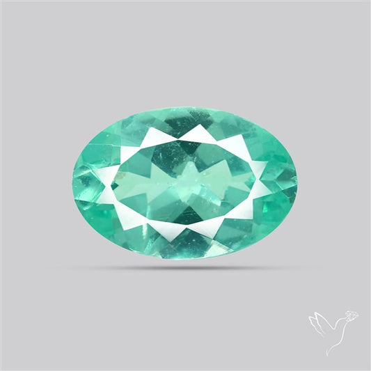 Paraiba Blue-Green Apatite Faceted Fine Gemstone