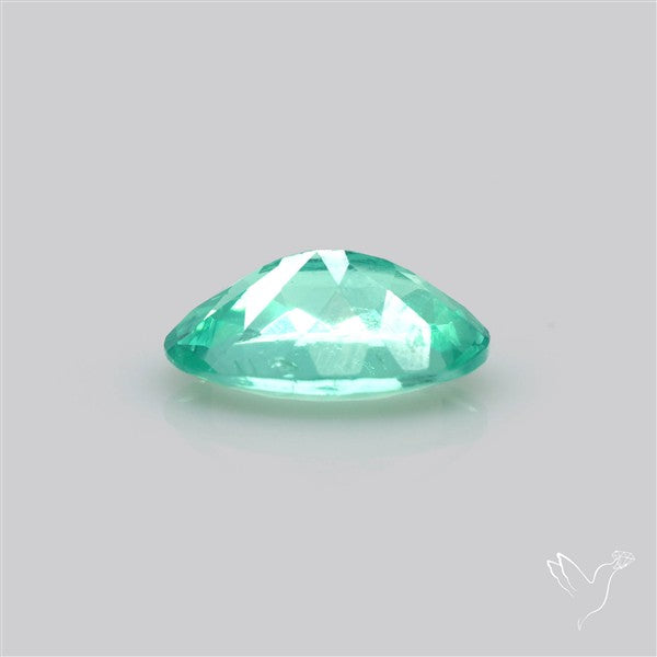 Paraiba Blue-Green Apatite Faceted Fine Gemstone