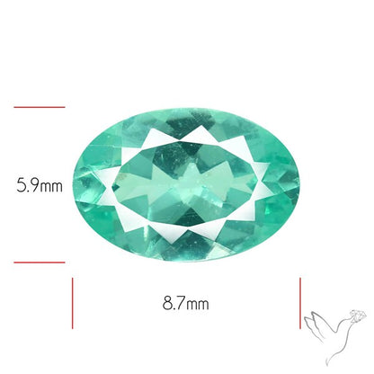 Paraiba Blue-Green Apatite Faceted Fine Gemstone