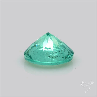 Paraiba Blue-Green Apatite Faceted Fine Gemstone