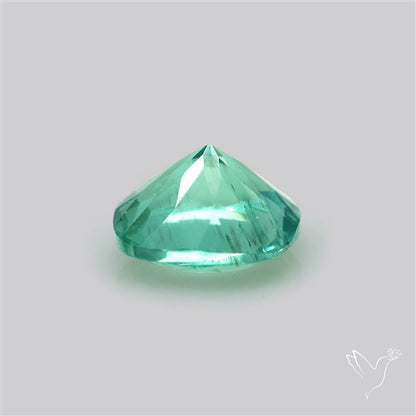 Paraiba Blue-Green Apatite Faceted Fine Gemstone
