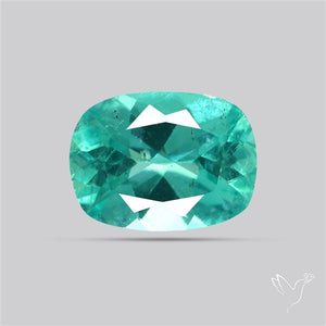 Paraiba Blue-Green Apatite Faceted Fine Gemstone