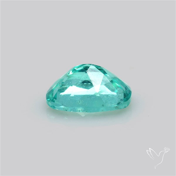 Paraiba Blue-Green Apatite Faceted Fine Gemstone