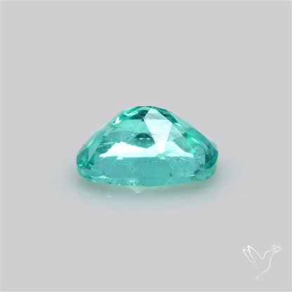 Paraiba Blue-Green Apatite Faceted Fine Gemstone