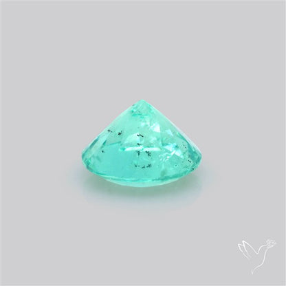 Paraiba Blue-Green Apatite Faceted Fine Gemstone