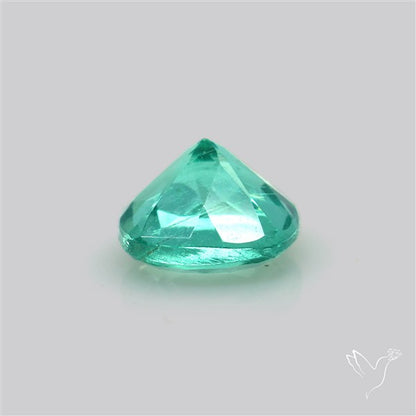 Paraiba Blue-Green Apatite Faceted Fine Gemstone
