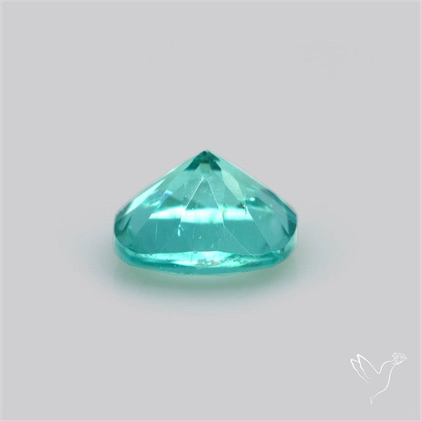 Paraiba Blue-Green Apatite Faceted Fine Gemstone