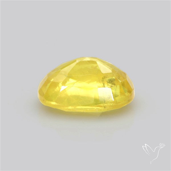 Faceted Yellow Sapphire