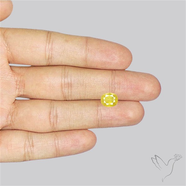 Faceted Yellow Sapphire