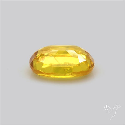 Faceted Yellow Sapphire