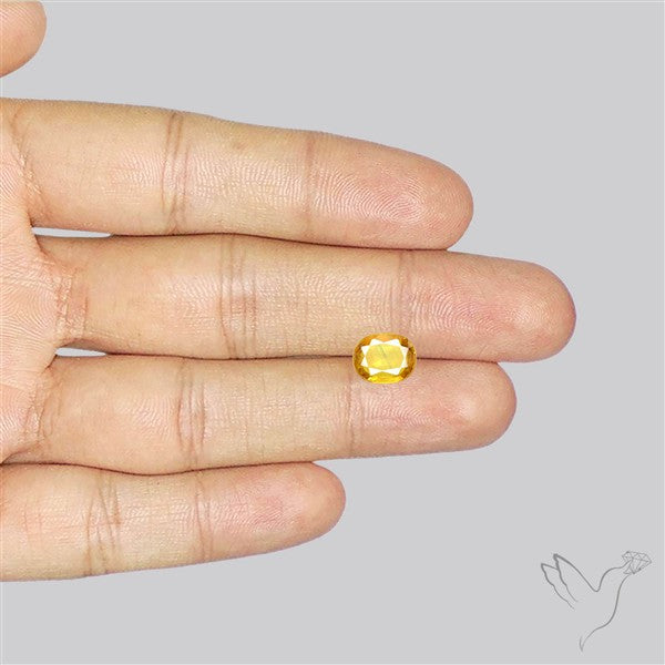 Faceted Yellow Sapphire