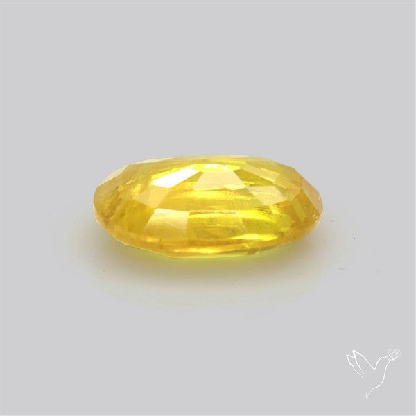 Faceted Yellow Sapphire