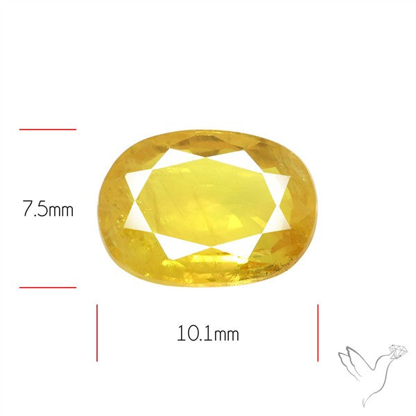 Faceted Yellow Sapphire